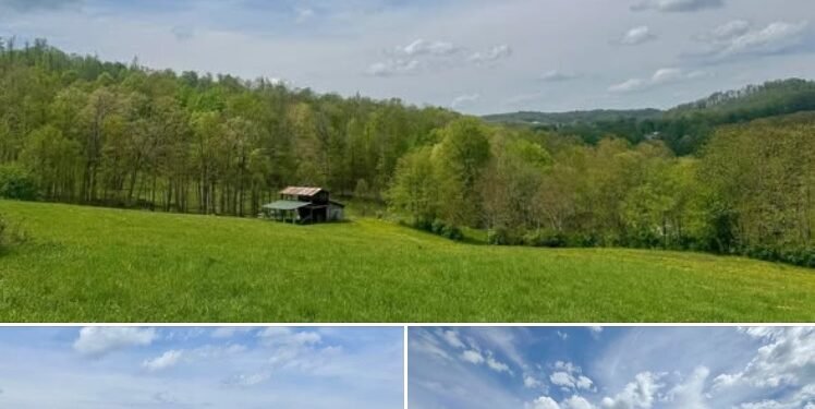 61 Acres of Rolling Hills, Open Land, and Barn in Philippi, West Virginia