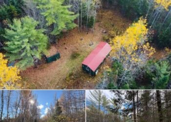 77-Acre Off-Grid Wilderness Camp in Greenbush, Maine