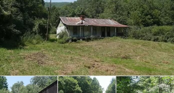 113 Acres with a Classic Virginia Homestead in Duffield