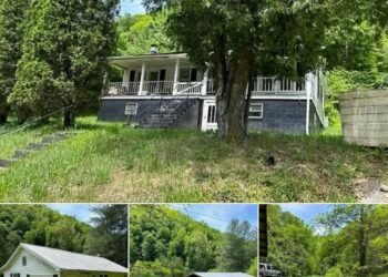 Rustic 2-Bedroom Cottage Getaway on 35.64 Acres in Duffield, Virginia