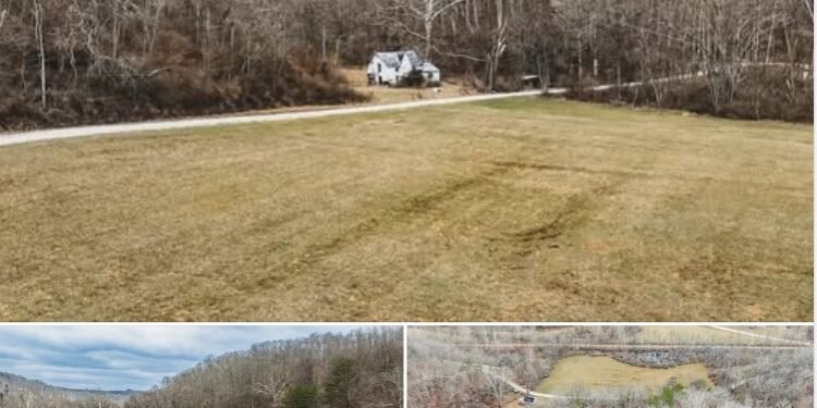 67.75 Acres of Land with Hunting Potential in Walker, West Virginia