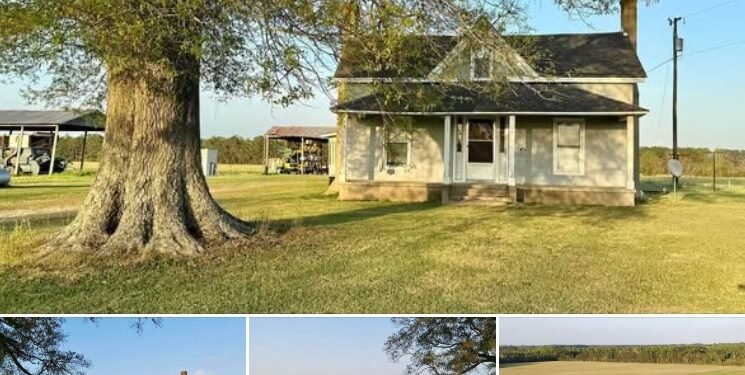 3-Bedroom Farmhouse on 0.54 Acres in Williamston, North Carolina