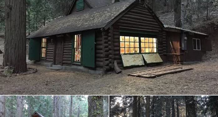 Warm & Inviting Log Cabin in Wofford Heights, CA
