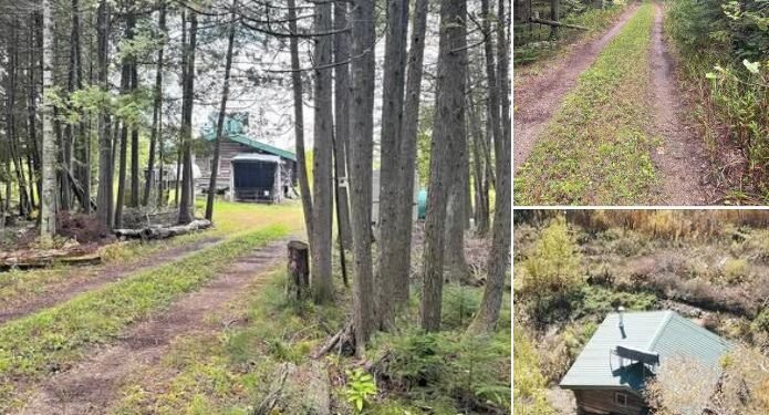 Nature Lover’s Retreat! Cabin on 40 Acres in Michigan