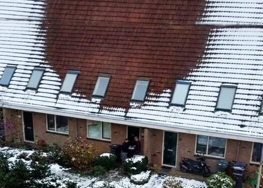 The House Without Snow and the Secret It Hid-
