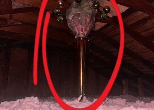 THE CHILLING TRUTH ABOUT WHAT IS HIDING IN YOUR ATTIC AND THE SHOCKING REASON WHY THE UNEXPLAINED OBJECTS IN THE DARK CORNERS OF YOUR HOME ARE NOT WHAT THEY SEEM