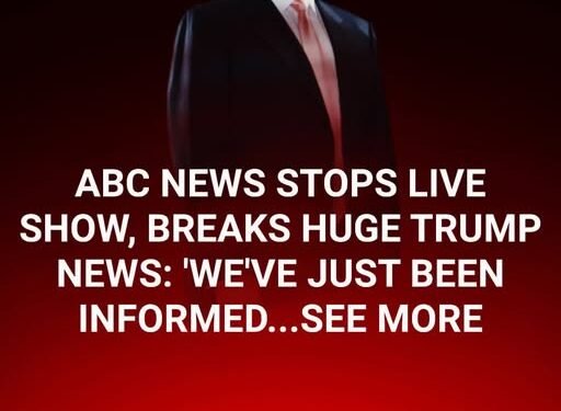 ABC Anchor Admits Truth As Trump’s DC Crackdown Yields Big Results