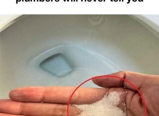 Put salt in your toilet. Here’s why. – Wake Up Your Mind