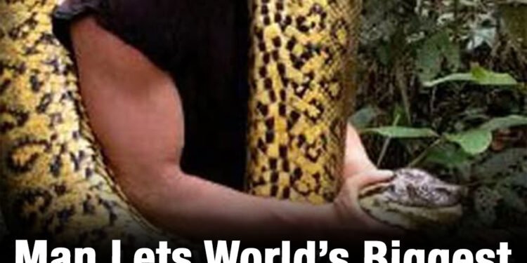 Man tried to get eaten alive by snake – instantly regretted it