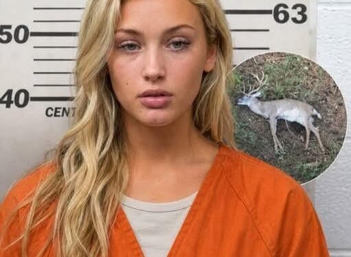 Police Arrest Suspect in Unusual Wildlife