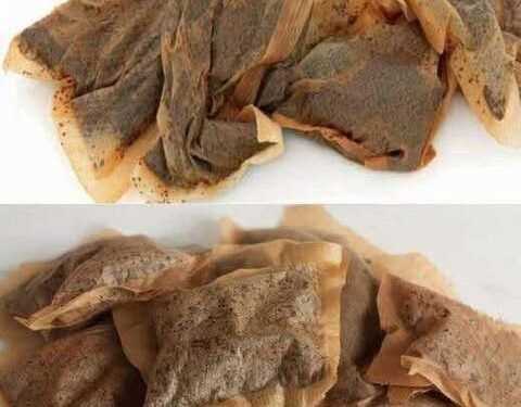 7 Surprising Uses for Used Tea Bags That Go Beyond the Cup