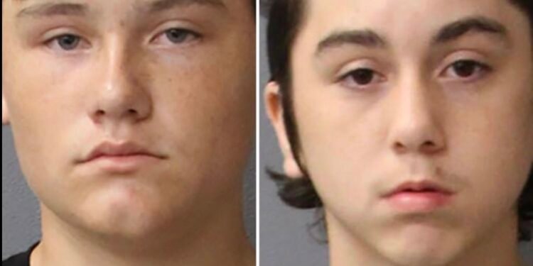 Florida moms call cops on sons after $50K school damage