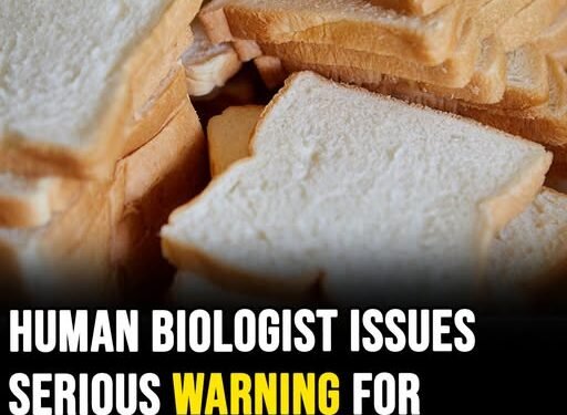 Human biologist issues serious warning for white bread that can be ‘killing you slowly’
