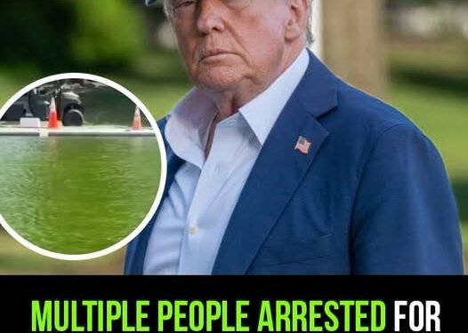 Trump announces arrests over Reflecting Pool ‘vandalism’, including a 67-year-old Olympic cyclist