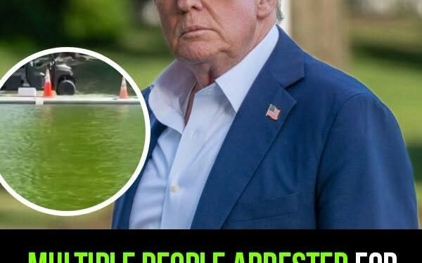 Trump announces arrests over Reflecting Pool ‘vandalism’, including a 67-year-old Olympic cyclist