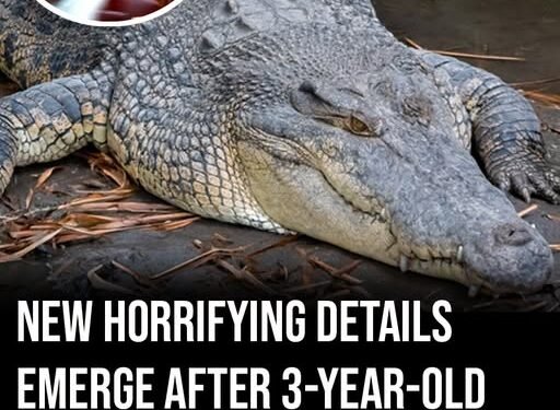 New horrifying details emerge after 3-year-old boy was ‘thrown’ into crocodile enclosure at zoo