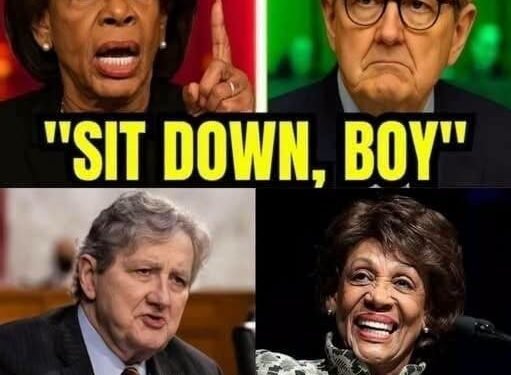 Maxine Waters INSULTS John Kennedy With the Words “Sit Down, Boy” — And the Moment Instantly Changes the Entire Room