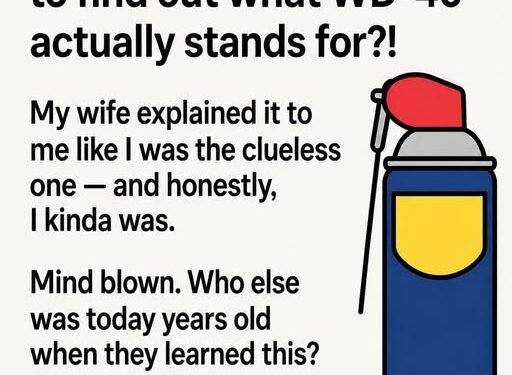 People Are Shocked to Learn the Real Meaning Behind WD-40