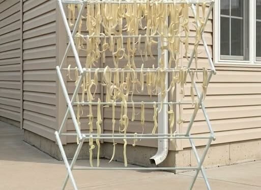 The Sun-Dried Mystery: How Homemade Pasta Turned an Ordinary Backyard Into a Neighborhood Puzzle
