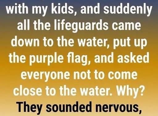 What a Purple Beach Flag Means and Why You Should Pay Attention