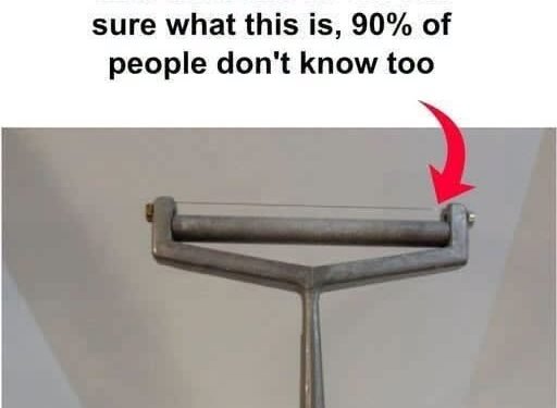 I don’t know what this is!