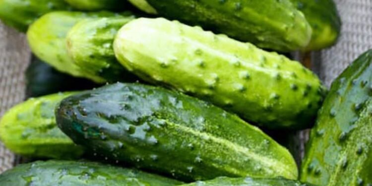 Doctors reveal that eating cucumber in salads causes…
