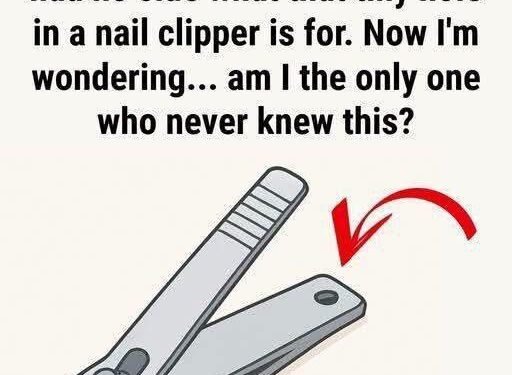 Hidden Purpose Of That Hole