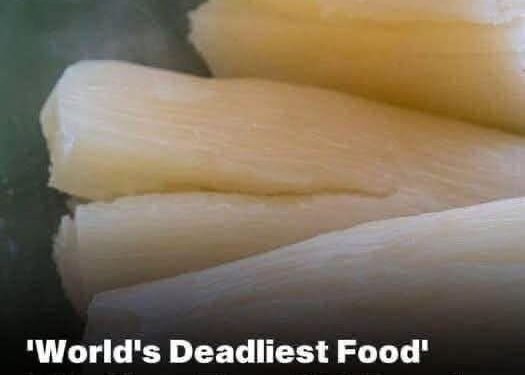 Silent Killer On Your Plate