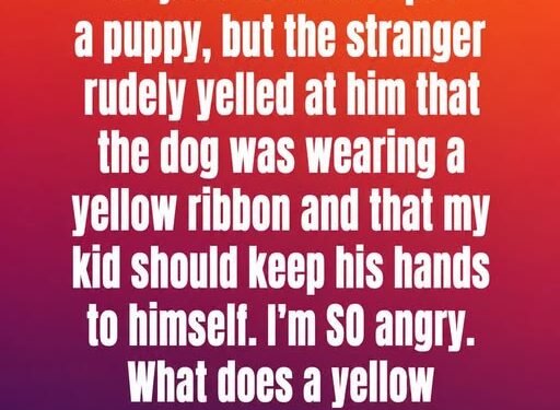 This Is What a Yellow Ribbon on a Dog Collar Means