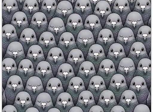 Count the Pigeons First and See What You Notice