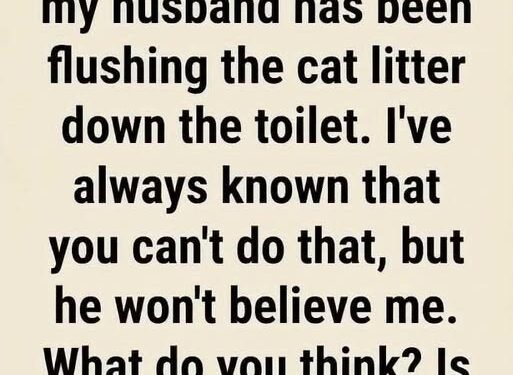 6 Things You Should Never Flush Down the Toilet