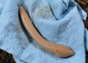 This evening, I went into my girlfriend’s bathroom and found this on the floor.