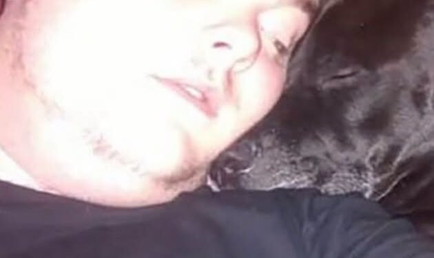 Geo the dog sensed something was wrong and saved a life