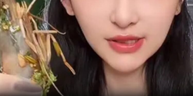 Mukbang streamer, 24, dies days after being hospitalized over dangerous trend